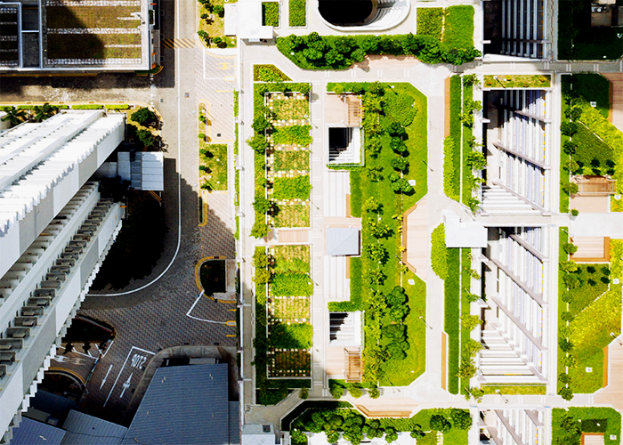 Green Roofs with Extruded Polystyrene by FOAMULAR