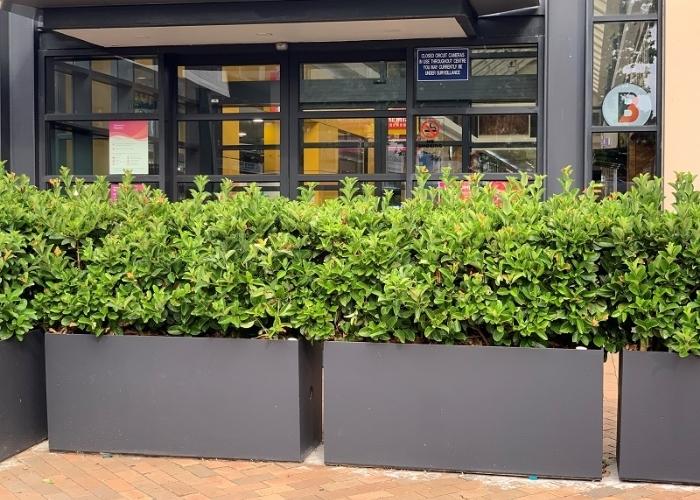 Planter Boxes for Shopping Centre by Mascot Engineering