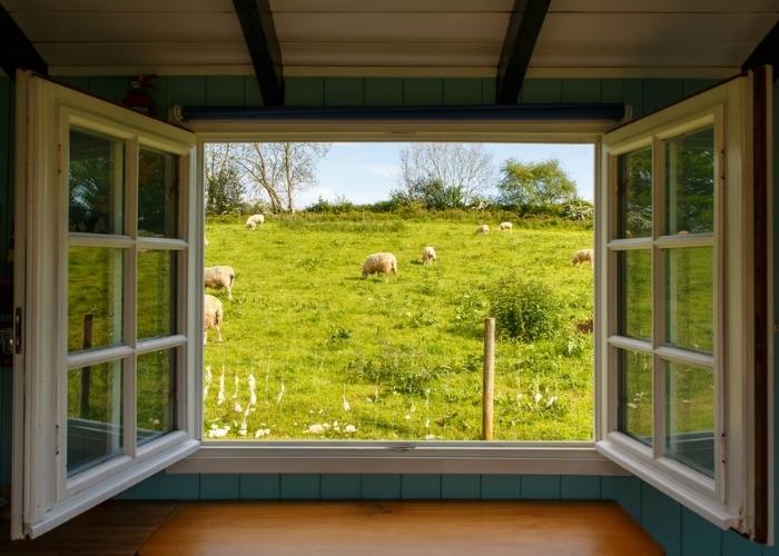 Traditional French Windows by Wilkins Windows