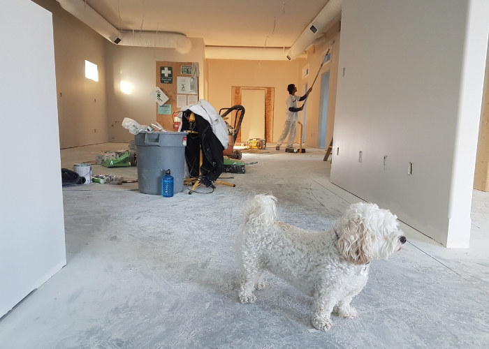 Dust Containment for Renovations by Altamonte