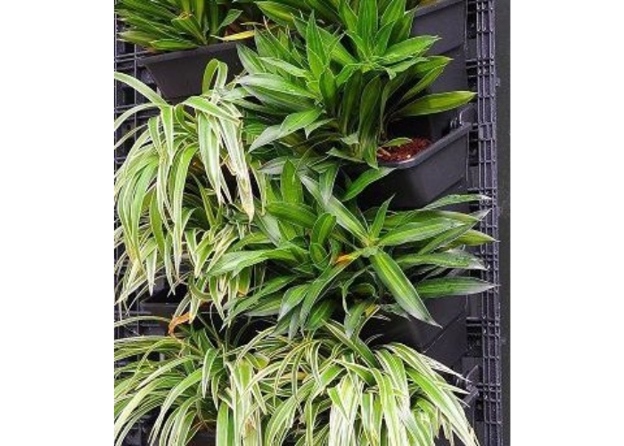 Advantages of Planter Wall System by Elmich