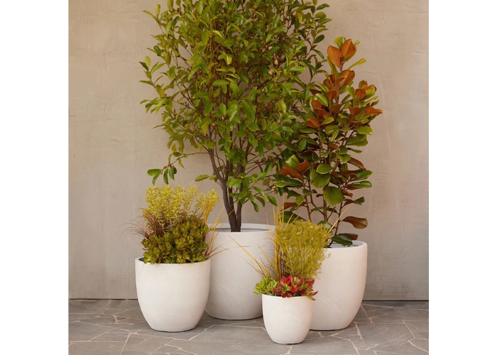 Planter Pots Supplier NSW by Simons Seconds