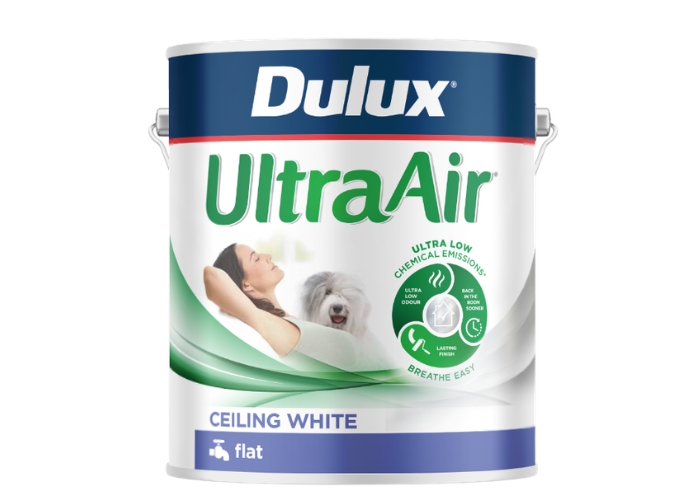 Low Odour Paint for Ceilings by Dulux
