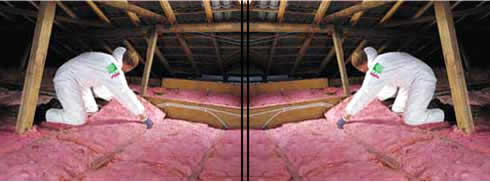 Think Pink With Pink Batts From Fletcher Insulation Think Pink