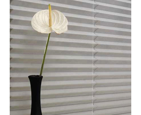 Pleated Blinds