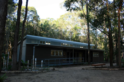 montessori international college library