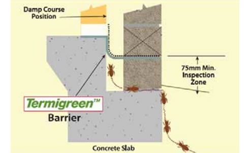 termigreen termite barrier illustration