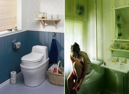 ecolet waterless composting toilets