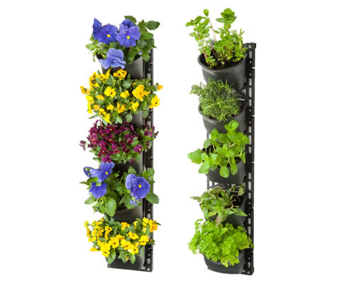 maze vertical garden
