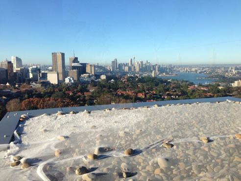 roof top pebbles and insufficient netting