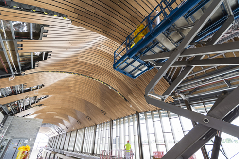 curved timber slat ceiling installation
