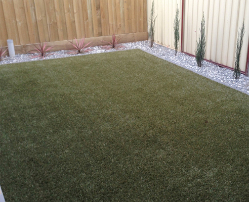 synturf grass alternative