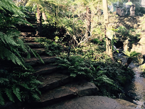 natural stone steps