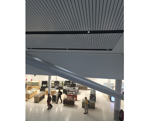 decorslat ceiling