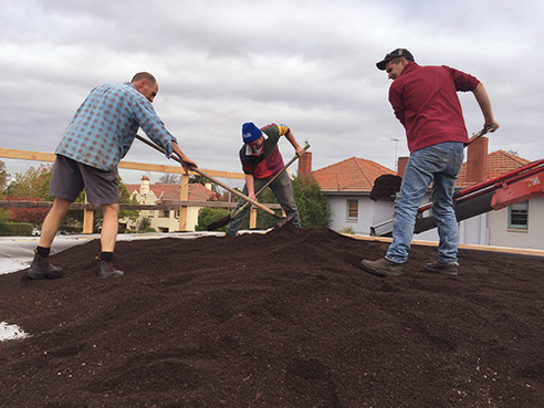 installing green roof