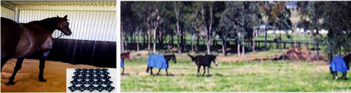 Vulcanized horse rubber matting from Sherwood Enterprises