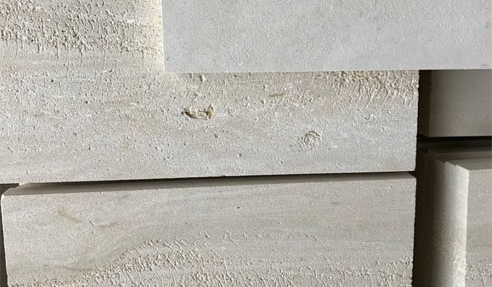 Marine Fossilised Textured Limestone