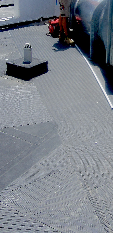 Projex Group Non-Slip Walkway Mats