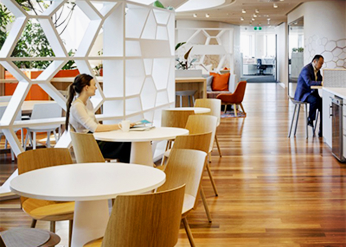 Australian Timber & Carpets for Offices from Embelton