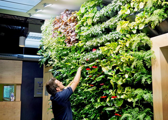 Professional Vertical Gardens with Gro-Wall® Slim Pro by Atlantis