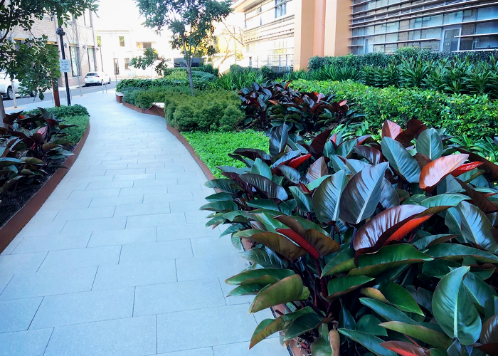 Public Area Landscaping for Block 11 by AYZ Landscapes