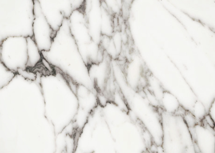 Arabescato Cervaiole White Marble Tiles & Slabs from RMS Marble