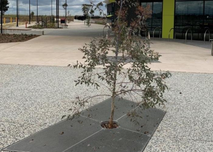 Tree Grates for Pedestrian Footpaths by Mascot Engineering