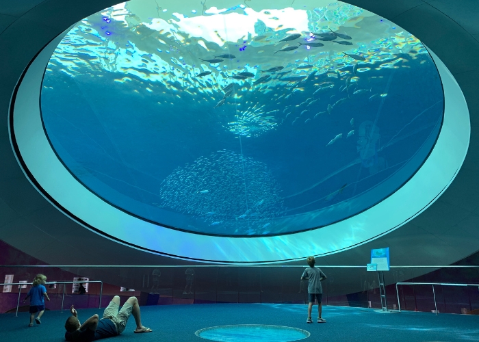 Viewing Panels for Aquariums by Allplastics