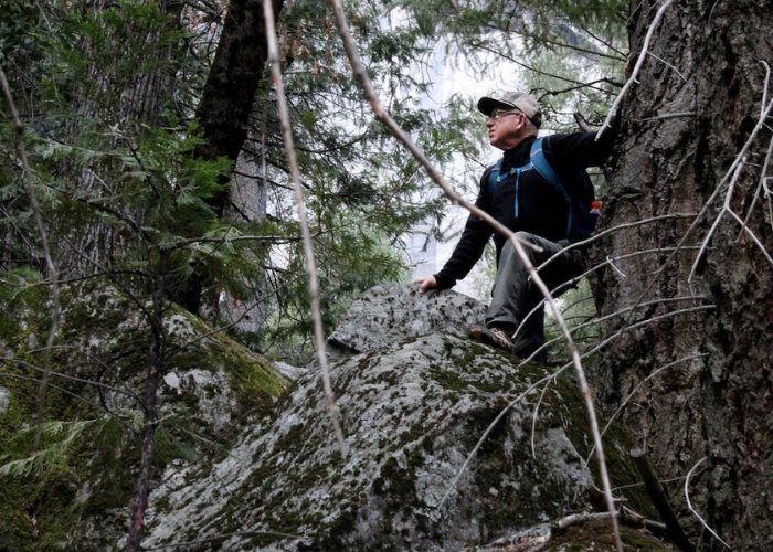 Tree Surgeons Belt for Arborists by 3M