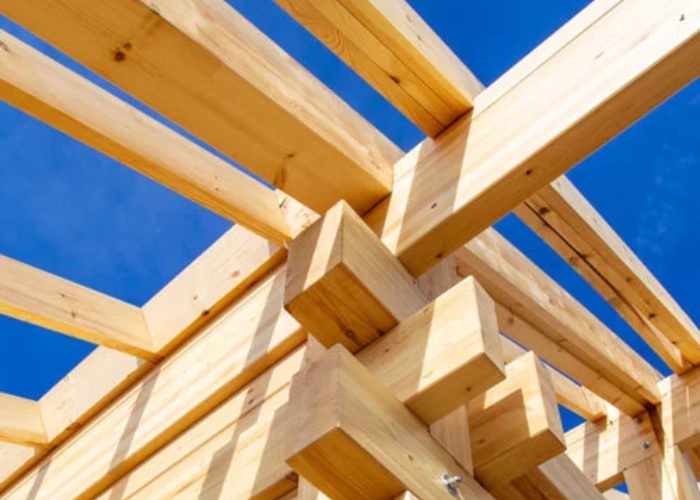 Structural Timber Protection by Promat