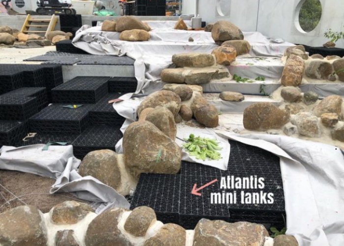 Mini Water Storage Tank for Versatile Applications by Atlantis