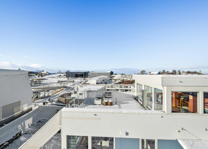 Prevention of Roof Leaks by ILD Australia