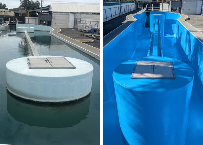 Epoxy Resurfacing for Horse Pool by Poly-Tech