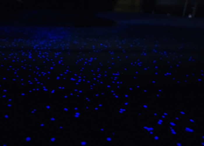 Schneppa Glass PolyGlow™ Purple Crush for Outdoor Space Night Illumination