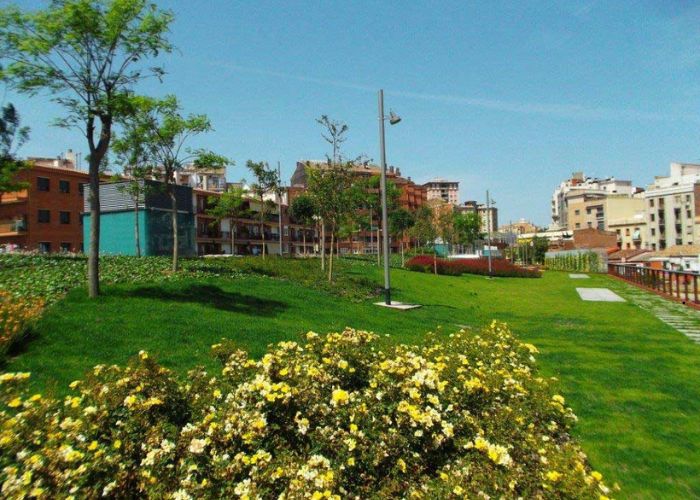 Green vs Grey Infrastructure: Why the Best Stormwater Solutions Combine Both