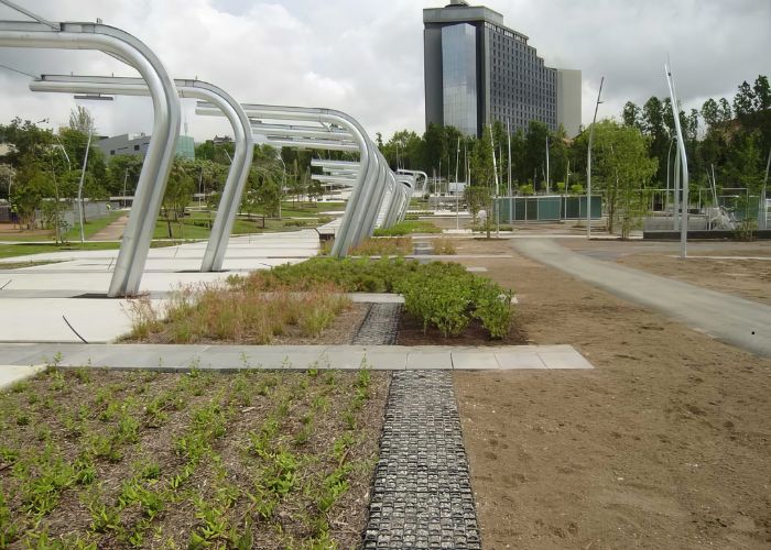 Green vs Grey Infrastructure: Why the Best Stormwater Solutions Combine Both