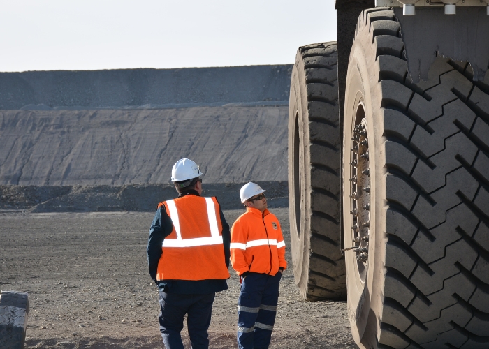 Full Crew Labour Hire QLD by Bellis