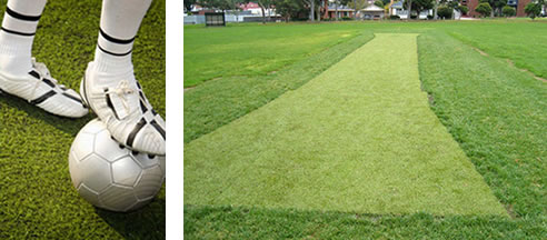 synthetic sporting field grass