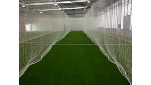 cricket turf