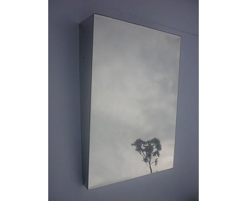 Stainless Steel Disabled Tilt Mirror