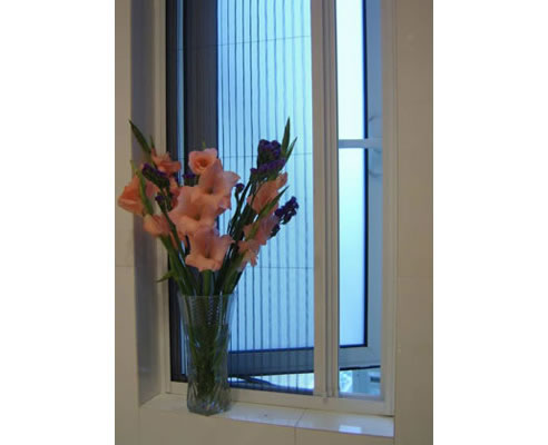 window with flyscreen