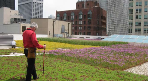 greenroof waterproof membrane testing