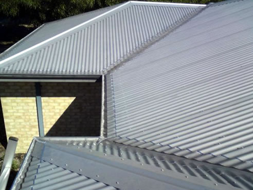 roof with gutter mesh