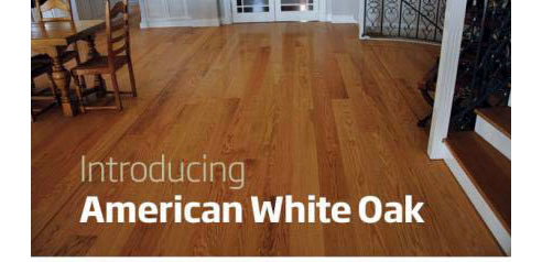 American white oak