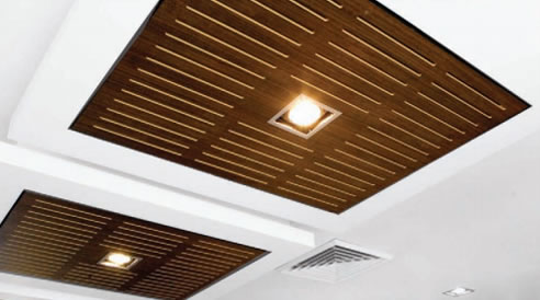 ceiling panel inserts