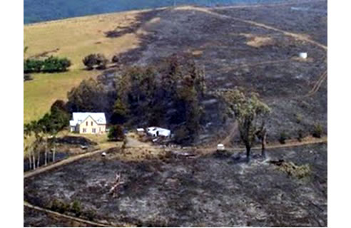 house built with timbercrete blocks survives bushfire