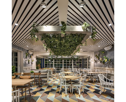 rustic ceiling the oaks neutral bay