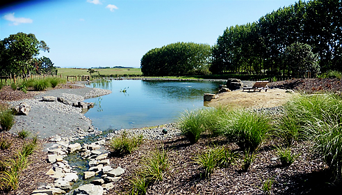 Natural Pools by Waterco