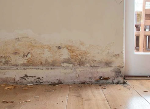 Rising Damp