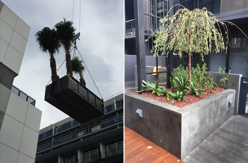 craned planter box roof top garden